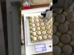 Small Egg Inkjet Printer Xy Axis Intelligent Egg Inkjet Printer Fully Automatic