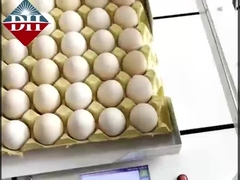 Small Egg Inkjet Printer Xy Axis Intelligent Egg Inkjet Printer Fully Automatic